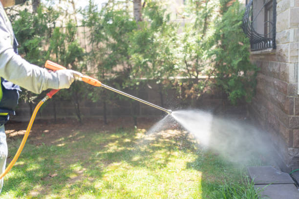 Best Mosquito Control  in Innsbrook, VA